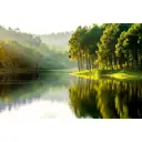 Фотообои флизелиновые DeliceDecor И 808 Лесная речка 400x270см