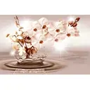 Фотообои флизелиновые DeliceDecor И 949 Бежевая Орхидея 300x200см