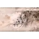 Фотообои флизелиновые DeliceDecor И 717 Азиатские мотивы 400x250см