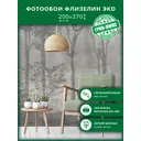 Фотообои флизелиновые Грин-люкс Туманный лес 200x270 см Туманный лес