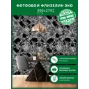 Фотообои флизелиновые Грин-люкс Непроницаемое лицо 300x270 см