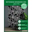 Фотообои флизелиновые Грин-люкс Непроницаемое лицо 200x270 см