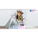 Фотообои флизелиновые Luxury walls 600x270 см Жираф AM28506