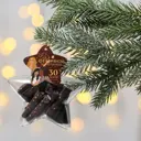 Елочная игрушка Для отличной вечеринки Зимнее волшебство 7059934 коричневый