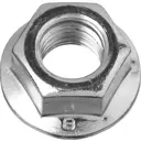 Гайка с фланцем ЗУБР DIN 6923 кл. пр. 6 M12 5 кг. 263 шт.