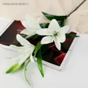 Цветы искусственные Poetry in flowers "Три лилии" 1