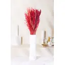 Набор Красный из 4-х культур: могар, овёс, лен, ячмень