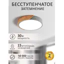 Светильник настенно-потолочный светодиодный Балтийский Светлячок P-40CP с пультом управления 15 м² регулируемый белый свет цвет серый