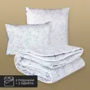 Набор 2 одеяла+2 подушки Альпийский лен льняное волокно в хлопковом тике 175x200 см 70x70 см