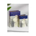 Шкатулки в виде книг, набор 2 предмета 39-109 27x8 см