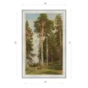 Картина в раме Декор Депо Иван Шишкин "Сосны освещенные солнцем" E20 71x46 см