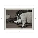 Картина в раме Декор депо Константин Малютин "Хряк" E20 46x61 см без стекла