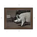 Картина в раме Декор депо Константин Малютин "Хряк" E21 31x41 см без стекла