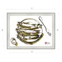 Картина в раме Декор депо Константин Малютин "Мойва" E20 46x61 см без стекла