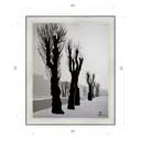 Картина в раме Декор депо Константин Малютин "Деревья на ВДНХ" E20 56x46 см без стекла