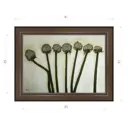 Картина в раме Декор депо Константин Малютин "Лук" E21 31x41 см без стекла