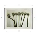 Картина в раме Декор депо Константин Малютин "Лук" E20 31x41 см без стекла