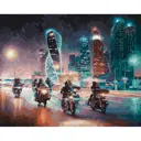 Картина по номерам Белоснежка Жгут пространство железные птицы 40x50 см