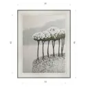 Картина в раме Декор депо Константин Малютин "Зима в ботсаду" E20 46x36 см без стекла