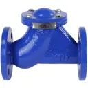 Клапан обратный шаровой Dn.ru-080-16-GGG50-NBR Ду80 Ру16 L 260 мм фланцевый без сливной пробки