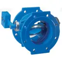 Клапан обратный поворотный Dn.ru VCD1313E-F Ду250 Ру10-16 чугун