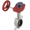 Затвор дисковый поворотный Dn.ru D050-13121 Ду40 Ру16 1 1/2" 120° сталь