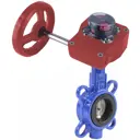 Затвор дисковый поворотный Dn.ru D050-13187 Ду300 Ру16 12" 120° чугун