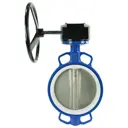 Затвор дисковый поворотный Dn.ru D050-12990 Ду150 Ру16 6" 120° чугун