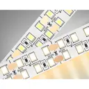 Светодиодная лента Ambrella light Gs1701 240 диод 4.8 Вт/м 12 В 19 мм IP20 5 м теплый белый (желтый) свет
