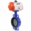 Затвор дисковый поворотный Dn.ru D050-01893 Ду80 Ру16 3" 110° чугун