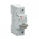 Автоматический выключатель Ekf Averes AV-125 2P 100 А 10 кА mcb125-1-100C-av