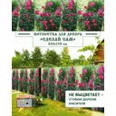 Фотосетка Мечта Сделай сам 600x158 см Ветвистые розы