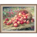 Репродукция картины Ф. Сычкова «Алма-атинские яблоки» 49x39см