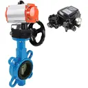 Затвор Dn.ru D050-09985 Ду65 Ру16 фланцевый чугун