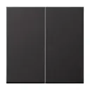 Клавиша двойная для выключателя Jung EcoProfi цвет черный матовый