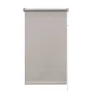 Штора рулонная Silverback 55x160 см бежевая