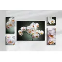 Модульная Постер на деревянном подрамнике "Яркая Орхидея" 5в1 (2x 20x20, 2x 20x40, 1x 47x67) без рамы для интерьера