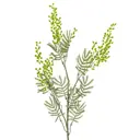 Ветка искусственная Мимоза 800171 34x4x82 см