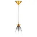 Светильник подвесной светодиодный Lightstar LS_805118 Colore 1 м² теплый белый (желтый) свет цвет золото