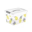 Контейнер для хранения Funbox FB3035 ФРУКТЫ 20x16x25 см полипропилен цвет прозрачный