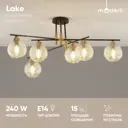 Люстра на штанге Moderli Lake V10803-6c 6 ламп 15 м² цвет черный, золотой