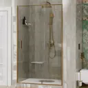 Душевая дверь Wasserkraft 449272 100.5см эффект стекла прозрачный распашной