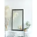 Декоративное зеркало Яркое зеркало ARK50110черный 50x110 см
