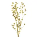 Абутилон Donnaflor Канатник Теофраста 3 ветки длина 60 см пастельный желтый