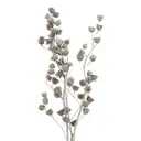 Абутилон Donnaflor Канатник Теофраста 3 ветки длина 60 см пастельный серый