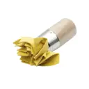 Губка для декоративных работ Boldrini 190x160 мм