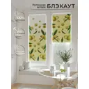 Рулонная штора At home Федера AT774193 62x170 см цвет зеленый