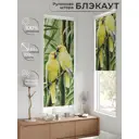 Рулонная штора At home Шолкрит AT774008 62x170 см цвет разноцветный