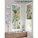 Рулонная штора At home Шолкрит AT774013 62x170 см цвет разноцветный