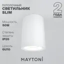 Светильник настенно-потолочный Maytoni C012CL-01W 1 лампа цвет Белый